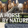A Horse by Nature - Mary Ann Simonds