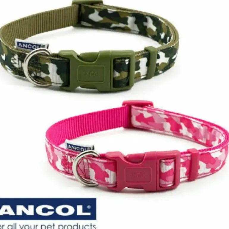 Ancol Combat Collar