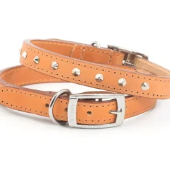 Ancol Heritage Leather Lead