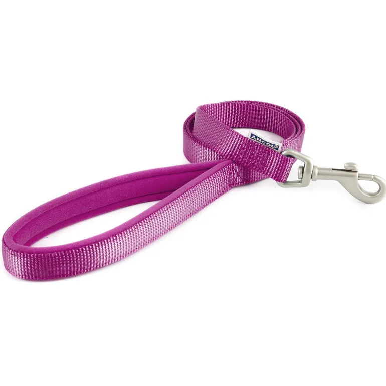 Ancol Padded Nylon Lead
