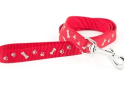 Ancol Paw & Bone Collar