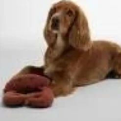Barbour Crab Dog Toy
