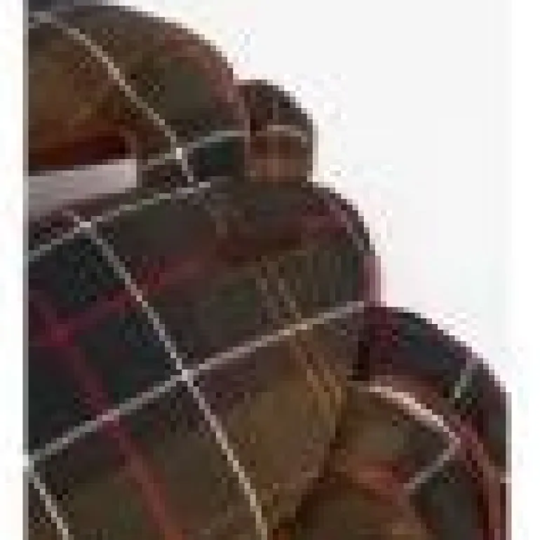 Barbour Crab Dog Toy