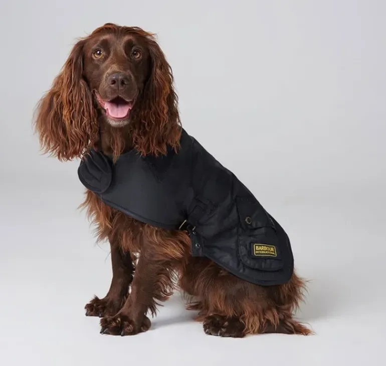 Barbour International Dog Coat