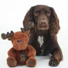 Barbour Pheasant Dog Toy
