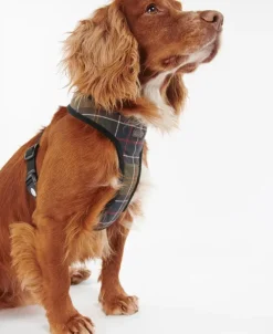 Barbour Tartan Dog Harness