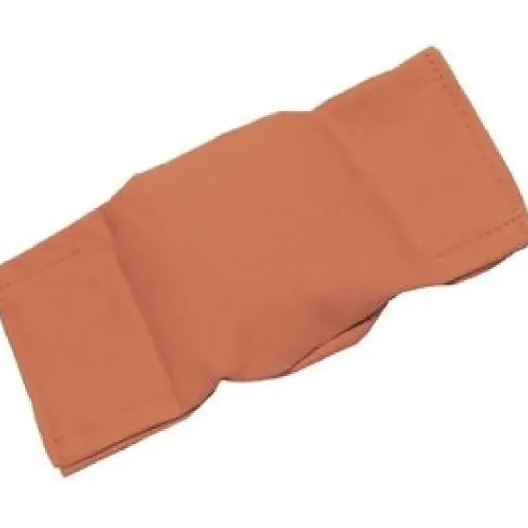 Bisley Beanbag Dog Puppy Dummy