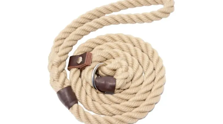 Bisley Heritage Leather Dog Lead
