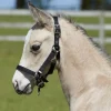 Bitz Fully Adjustable Foal Slip Black