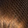 Bitz Twin Pack Hairnets
