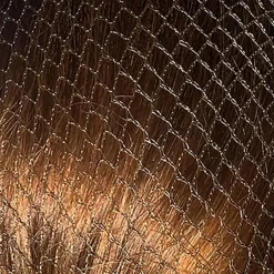 Bitz Twin Pack Hairnets