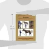 Book Threshold Guide No.32. Improving the Rider's Position
