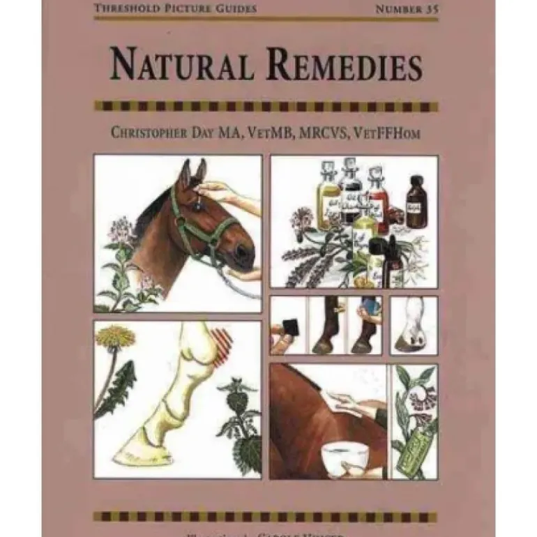 Book Threshold Guide No.22. The Outdoor Pony