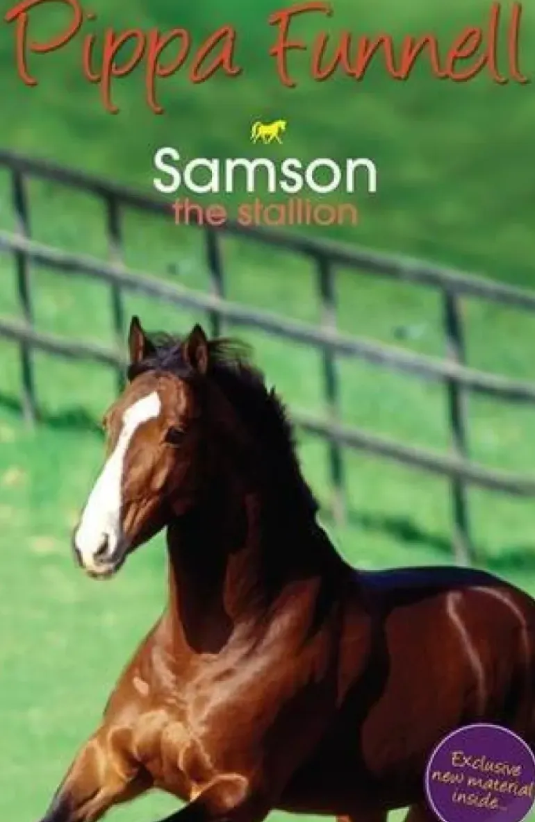 Book Tilly's Pony Tails 04 Samson the Stallion