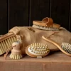 Borstiq Every Day Horse Care Set