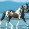 Breyer Pinto
