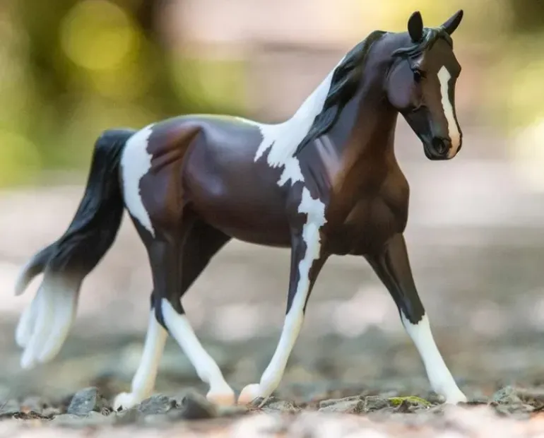 Breyer Pinto