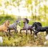 Breyer Poetry In Motion Gift Set