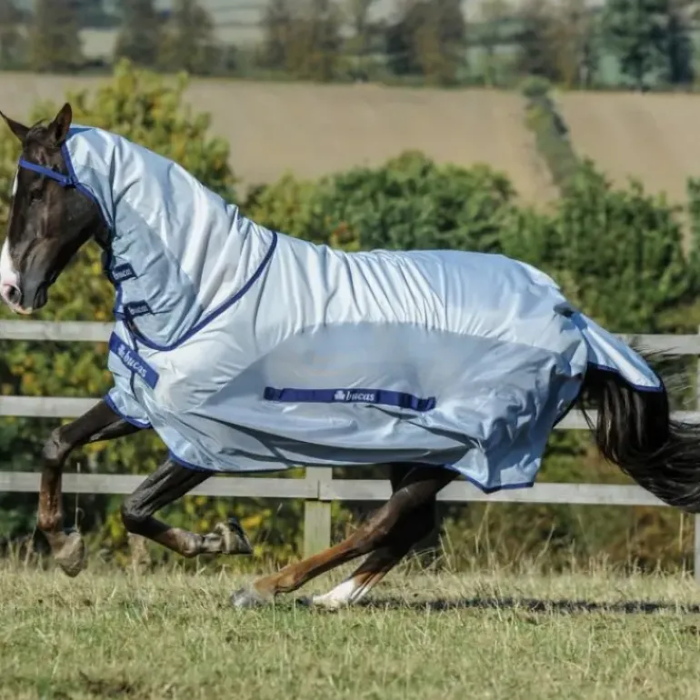 Bucas Buzz Off Rain Sheet + Fly Combo Rug with Detachable Neck