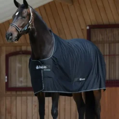 Bucas Classic Cut Shamrock Power Rug