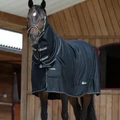 Bucas Full Neck Shamrock Power Rug