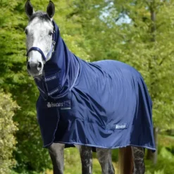 Bucas Full Neck Shamrock Power Rug