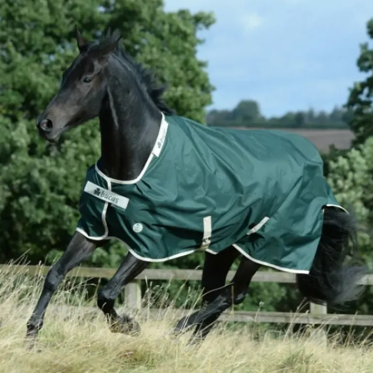 Bucas Greenline 100g Turnout Rug