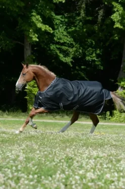 Bucas Trot 200g Turnout Rug