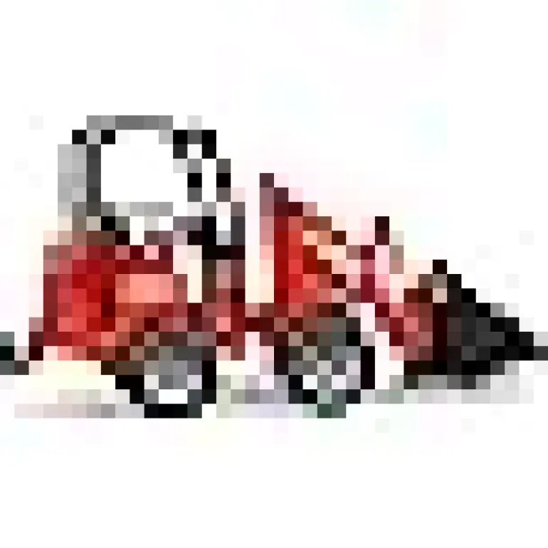 Burder Schaeffer Compact Loader 2034