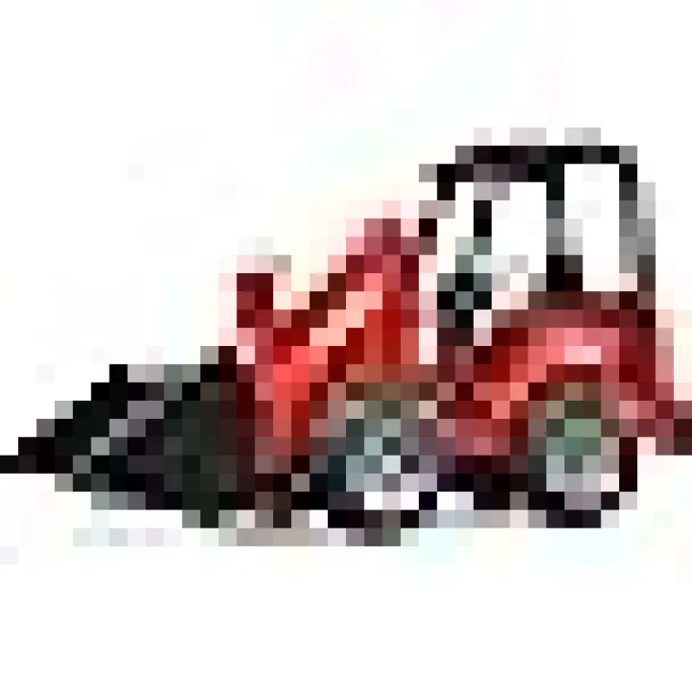 Burder Schaeffer Compact Loader 2034