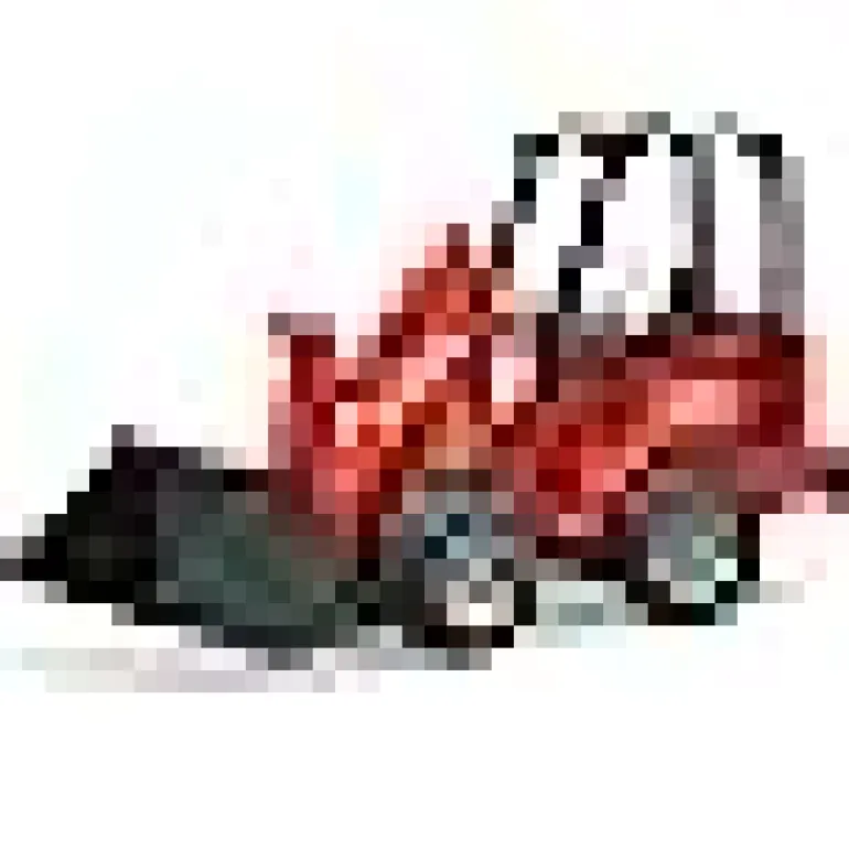 Burder Schaeffer Compact Loader 2034