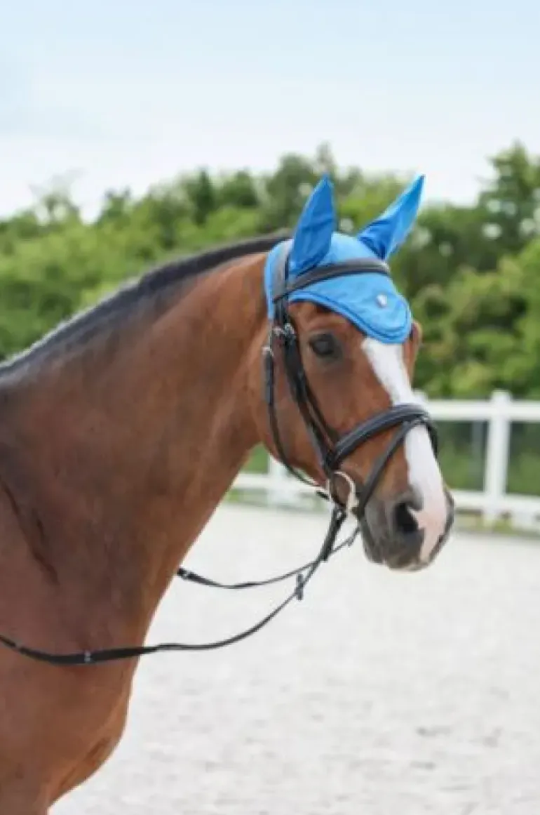 Covalliero Fly Hood SS22