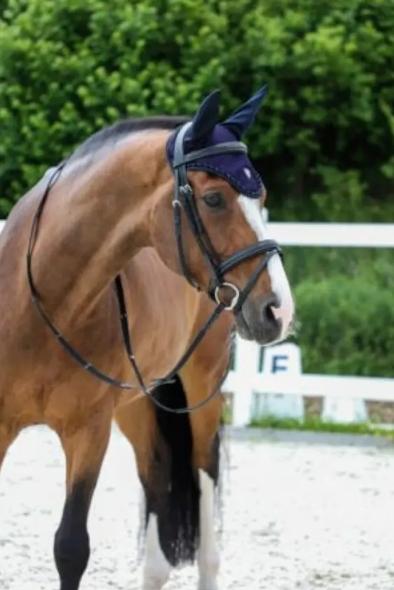 Covalliero Fly Hood SS22