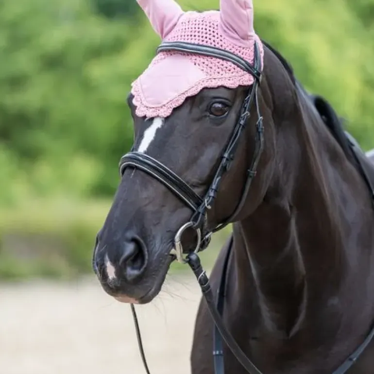 Covalliero Fly Veil SS23