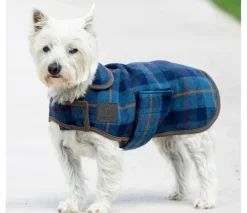 Digby & Fox Tweed Dog Coat