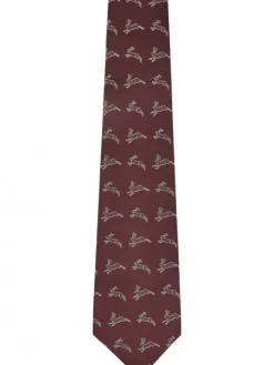 Dubarry Lacken Silk Tie