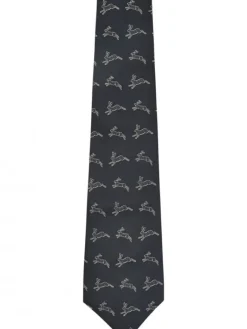 Dubarry Lacken Silk Tie