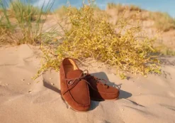 Dubarry Mens Shearwater Loafer
