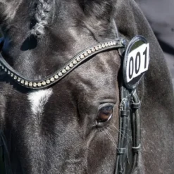 Equetech Bridle Numbers