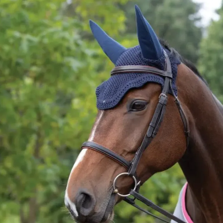Equetech Horse Soundless Ear Net Hood