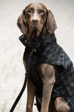 Eskadron Essence Dog Set - Lead and Collar