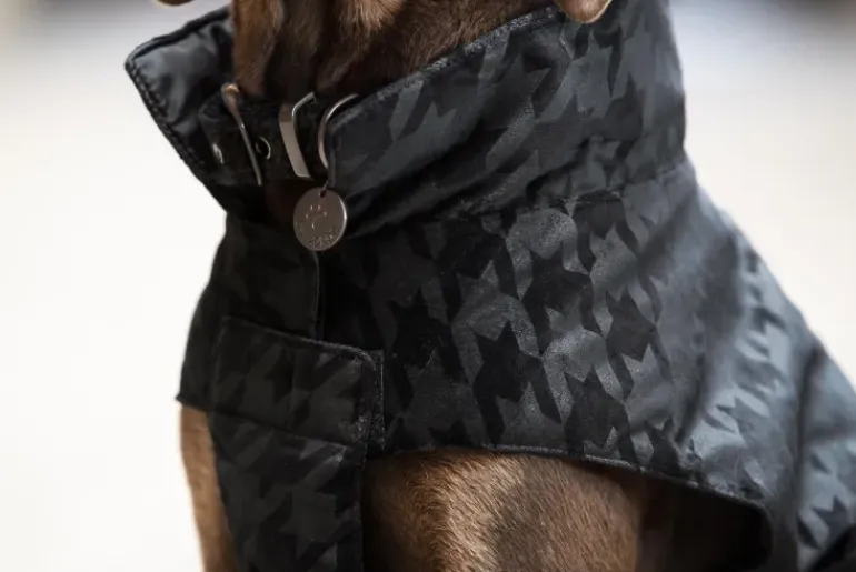 Eskadron Essence Velvet Stamp Dog Coat
