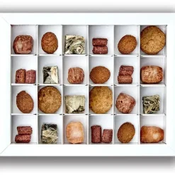 Green & Wild's Advent Calendar