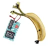 Green & Wild's Barry the Banana Eco Dog Toy