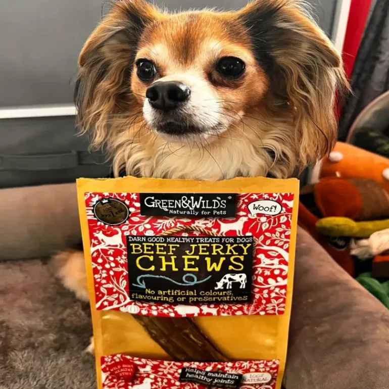 Green & Wild's Beef Jerky Chews