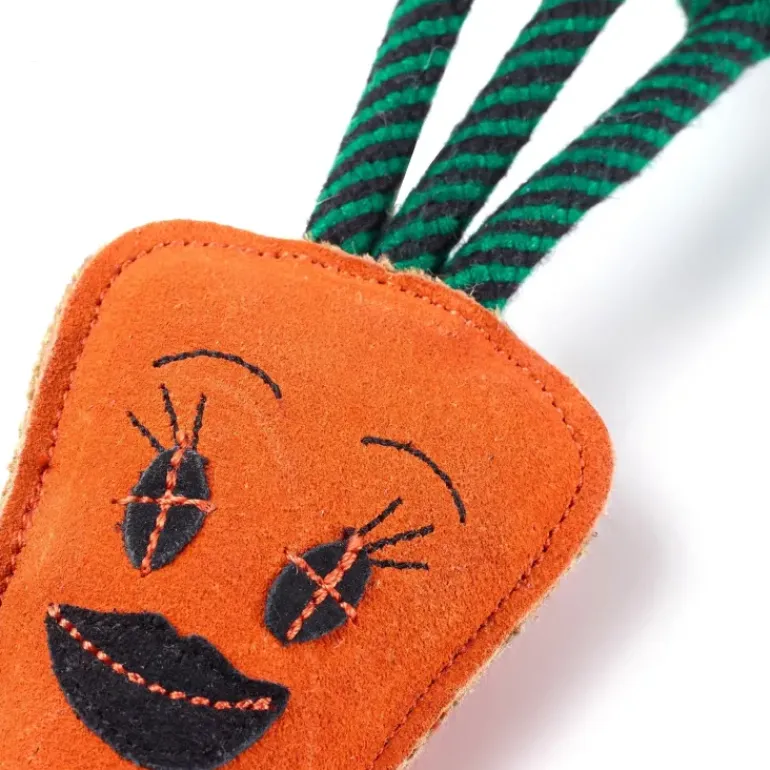 Green & Wild's Candice the Carrot Eco Dog Toy