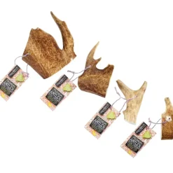 Green & Wild's Fallow Antler Chew