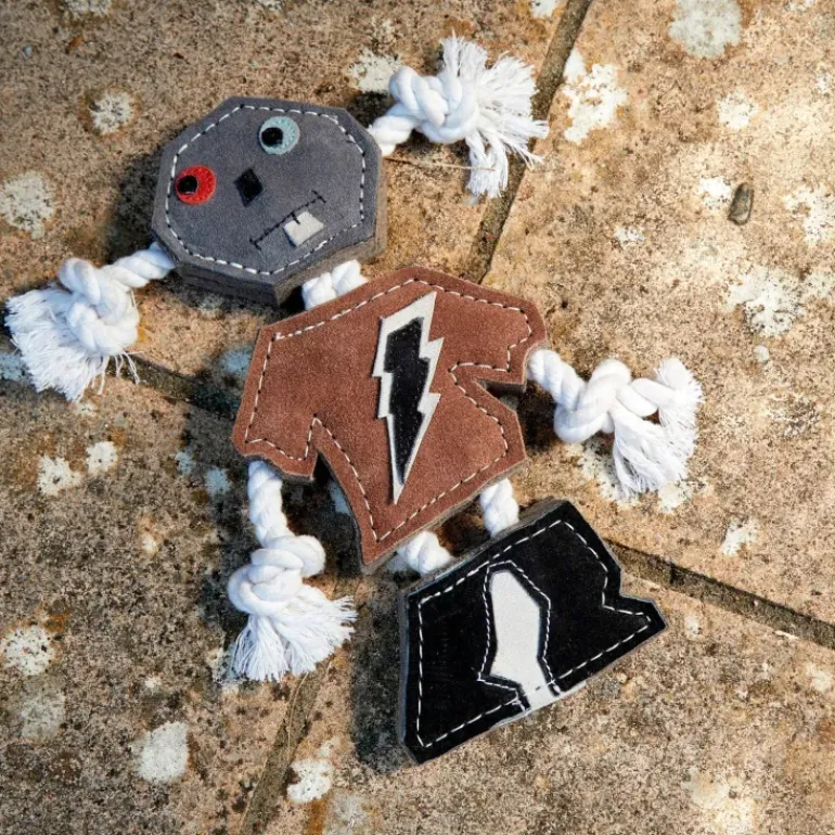 Green & Wild's ROB Eco Dog Toy