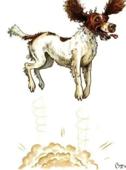 Greeting Card - Springer by Bryn Parry