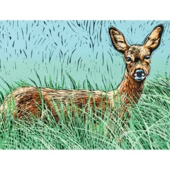 Greeting Card - Tina's Doe by Colin Blanchard